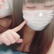 ヒメ日記 2025/05/02 18:33 投稿 かほ 石庭