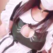 ヒメ日記 2025/05/03 23:50 投稿 かほ 石庭