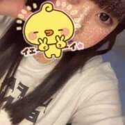 ヒメ日記 2025/06/21 23:20 投稿 かほ 石庭