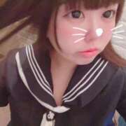 ヒメ日記 2025/06/24 21:40 投稿 かほ 石庭