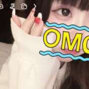 ヒメ日記 2025/06/26 19:50 投稿 かほ 石庭