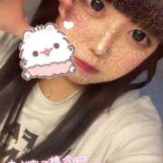 ヒメ日記 2025/06/28 16:10 投稿 かほ 石庭