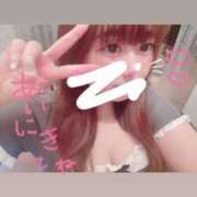 ヒメ日記 2025/07/14 22:36 投稿 かほ 石庭