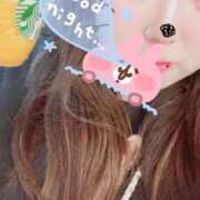 ヒメ日記 2025/07/16 09:50 投稿 かほ 石庭