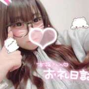 ヒメ日記 2025/07/20 12:40 投稿 かほ 石庭