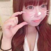 ヒメ日記 2025/11/05 12:20 投稿 かほ 石庭