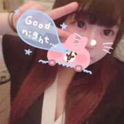 ヒメ日記 2025/11/06 10:30 投稿 かほ 石庭