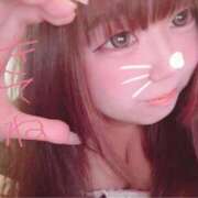 ヒメ日記 2025/11/11 11:50 投稿 かほ 石庭