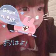 ヒメ日記 2025/11/12 11:31 投稿 かほ 石庭