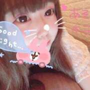 ヒメ日記 2025/11/13 13:29 投稿 かほ 石庭