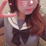 ヒメ日記 2025/11/14 12:30 投稿 かほ 石庭