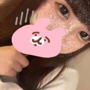 ヒメ日記 2025/11/14 18:50 投稿 かほ 石庭