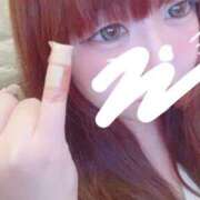 ヒメ日記 2025/11/16 20:50 投稿 かほ 石庭