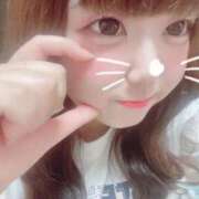 ヒメ日記 2025/11/17 16:05 投稿 かほ 石庭