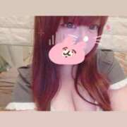 ヒメ日記 2025/11/18 11:20 投稿 かほ 石庭