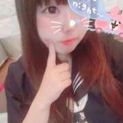 ヒメ日記 2025/12/28 12:01 投稿 かほ 石庭