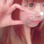 ヒメ日記 2025/12/29 10:04 投稿 かほ 石庭