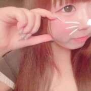 ヒメ日記 2025/12/31 10:36 投稿 かほ 石庭