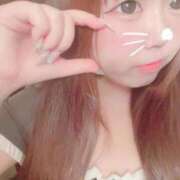 ヒメ日記 2026/01/12 12:34 投稿 かほ 石庭