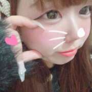 ヒメ日記 2026/01/13 14:50 投稿 かほ 石庭