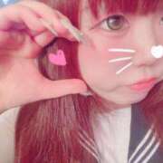 ヒメ日記 2026/01/15 14:20 投稿 かほ 石庭