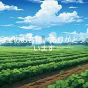 ヒメ日記 2024/12/29 10:24 投稿 すみれ 鹿児島ちゃんこ霧島店