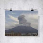 ヒメ日記 2025/01/20 10:39 投稿 すみれ 鹿児島ちゃんこ霧島店