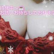 ヒメ日記 2025/01/23 12:59 投稿 すみれ 鹿児島ちゃんこ霧島店