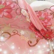 ヒメ日記 2025/02/04 12:33 投稿 すみれ 鹿児島ちゃんこ霧島店