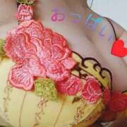 ヒメ日記 2025/02/05 15:39 投稿 すみれ 鹿児島ちゃんこ霧島店