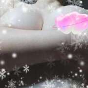 ヒメ日記 2025/04/05 11:05 投稿 すみれ 鹿児島ちゃんこ霧島店