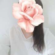 ヒメ日記 2025/06/24 11:19 投稿 すみれ 鹿児島ちゃんこ霧島店