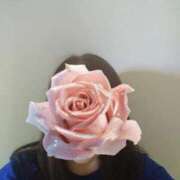 ヒメ日記 2025/08/19 10:49 投稿 すみれ 鹿児島ちゃんこ霧島店