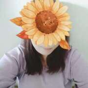 ヒメ日記 2025/10/31 17:29 投稿 すみれ 鹿児島ちゃんこ霧島店