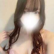 ヒメ日記 2025/03/19 16:04 投稿 菅井とうか ブルーバード