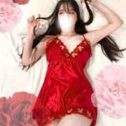 ヒメ日記 2025/03/20 14:04 投稿 菅井とうか ブルーバード