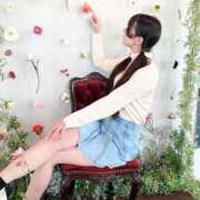 ヒメ日記 2025/03/22 12:14 投稿 菅井とうか ブルーバード