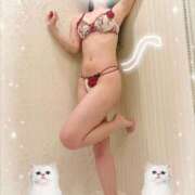 ヒメ日記 2025/12/26 21:05 投稿 菅井とうか ブルーバード