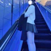 ヒメ日記 2026/06/04 16:14 投稿 菅井とうか ブルーバード