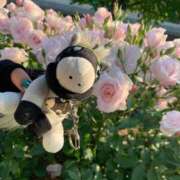 ヒメ日記 2025/05/13 18:07 投稿 インリン ドMな奥様 大阪本店