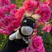 ヒメ日記 2025/07/13 04:29 投稿 インリン ドMな奥様 大阪本店