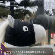 ヒメ日記 2026/01/30 17:04 投稿 インリン ドMな奥様 大阪本店