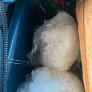 ヒメ日記 2025/12/17 18:10 投稿 すぅ 妻天 尼崎店