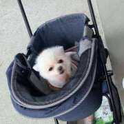 ヒメ日記 2026/02/12 22:41 投稿 すぅ 妻天 尼崎店