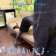 ヒメ日記 2026/03/19 14:25 投稿 すぅ 妻天 尼崎店