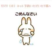 ヒメ日記 2024/12/13 17:05 投稿 ちあき 若葉