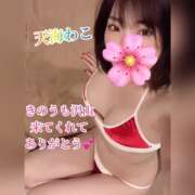 ヒメ日記 2024/12/21 17:16 投稿 天海わこ 華椿