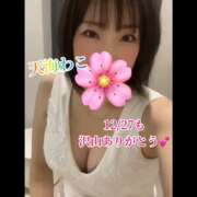 ヒメ日記 2024/12/31 10:01 投稿 天海わこ 華椿