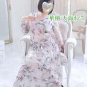 ヒメ日記 2025/12/07 09:16 投稿 天海わこ 華椿