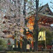 ヒメ日記 2025/06/14 16:46 投稿 ななせ CECIL